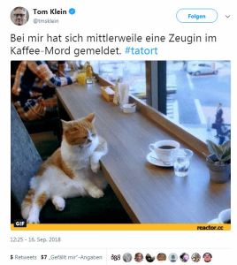 2018-10-23 Tatort 1066 Tiere der Großstadt - Katze von Tom Klein