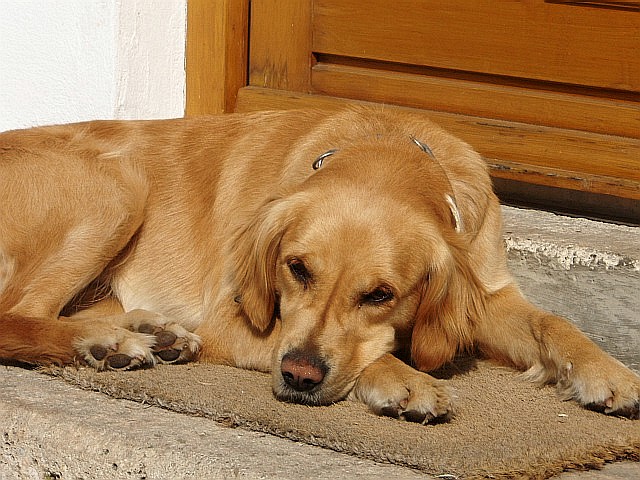 07-04-21-004 Emmi