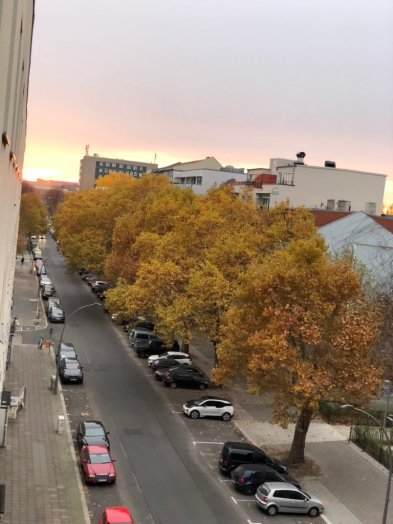 2019-02-06 Habersaathstraße 48 Fenterblick November